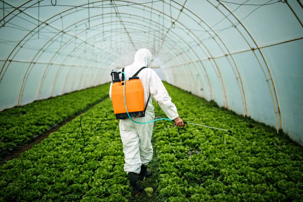 Best Affordable Pest Control Services  in Armona, CA
