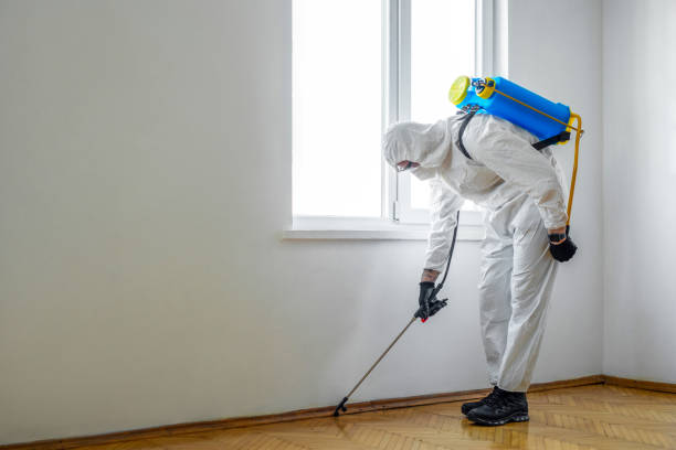Best Pest Removal Services  in Armona, CA