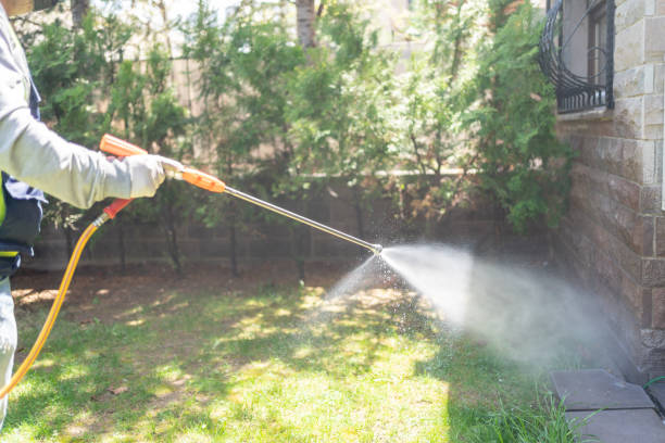 Bird Control in Armona, CA