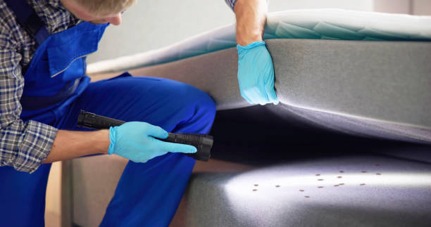 Best Bed Bug Extermination  in Armona, CA