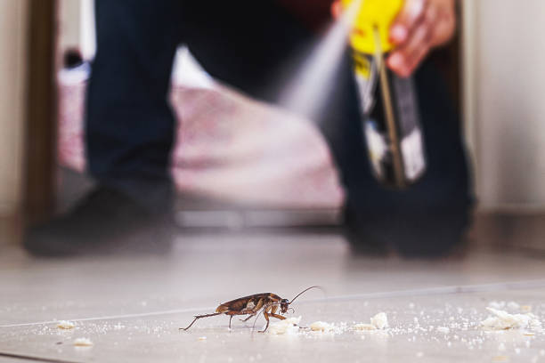 Reliable Armona, CA Pest Control Solutions
