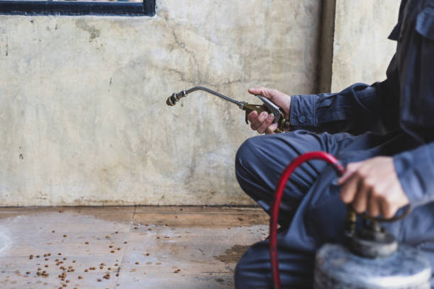 Best Local Pest Control Services  in Armona, CA