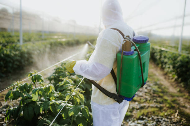 Best Best Pest Control Near Me  in Armona, CA